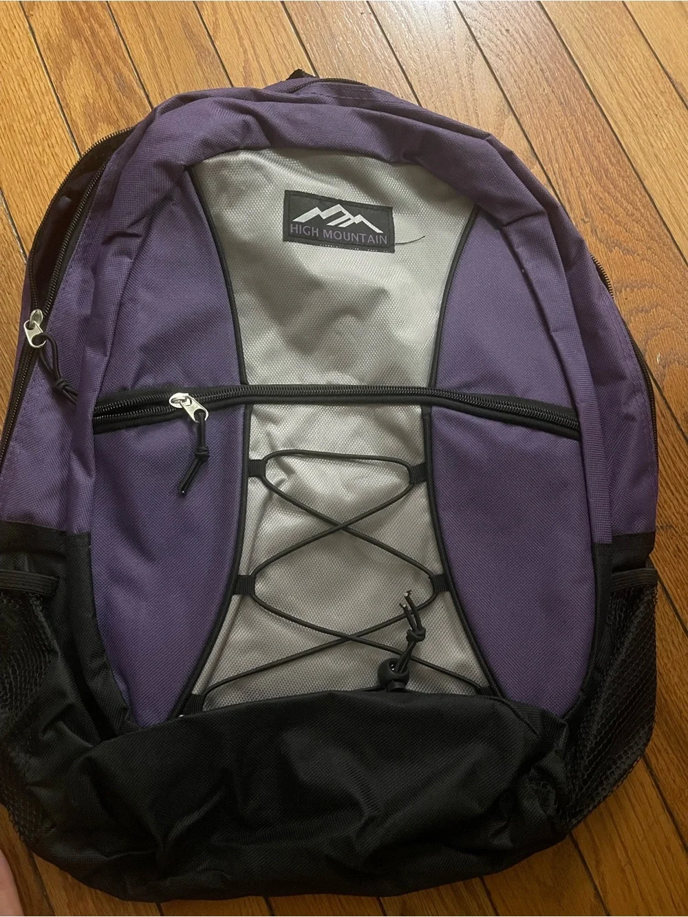 Purple and Gray Backpack